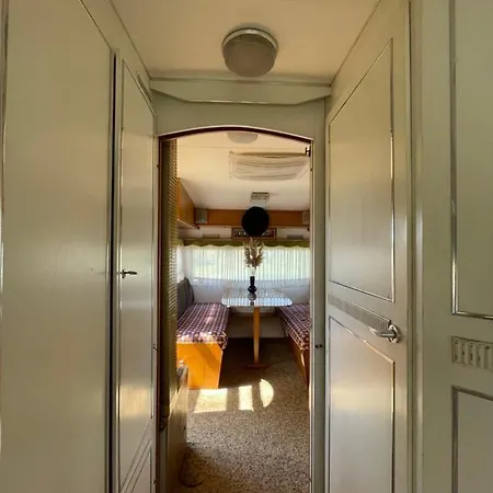 Rogowo Kamp alanı