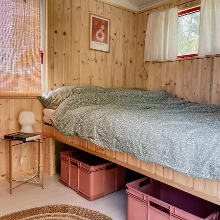 Rogowo Campsite *