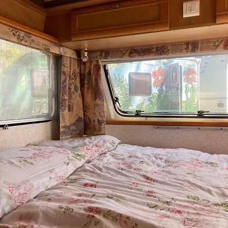 Rogowo Campingplads